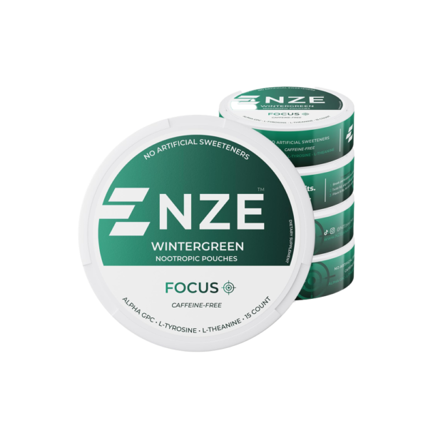 NZE Caffeine Free Nootropic Pouches (Wintergreen) - Nootropic Pouches with Alpha GPC, L-Tyrosine & L-Theanine - No Sugar or Artificial Sweeteners - 15 Nicotine Free Pouches Per Can - 5 Pack