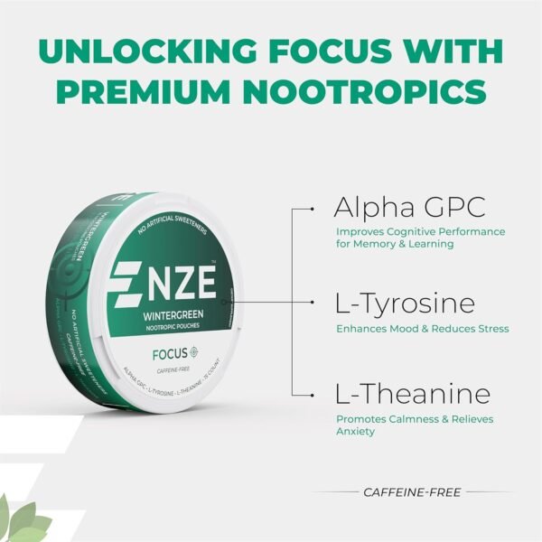 NZE Caffeine Free Nootropic Pouches (Wintergreen) - Nootropic Pouches with Alpha GPC, L-Tyrosine & L-Theanine - No Sugar or Artificial Sweeteners - 15 Nicotine Free Pouches Per Can - 5 Pack - Image 2