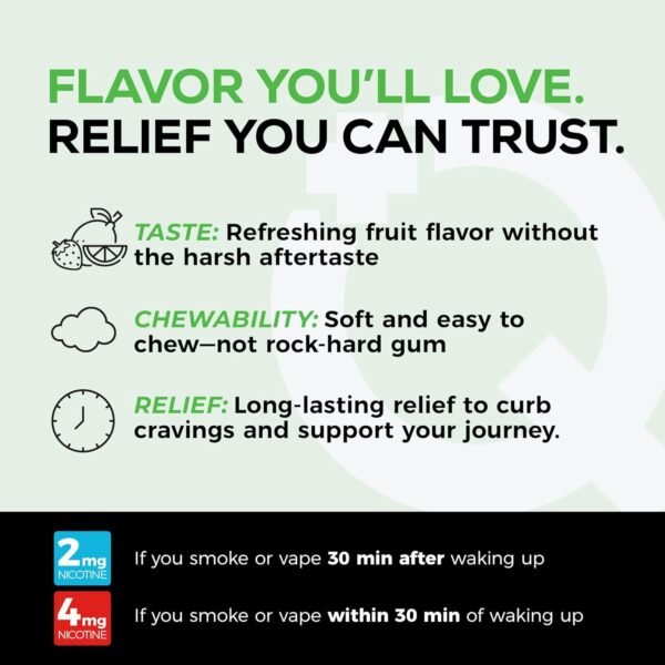 Quitine Nicotine Gum 4mg, Fruit Flavor, Stop Smoking Aid – Relieve Nicotine Cravings with Effective, Affordable NRT | Long-Lasting Flavor, 240 Count, Traditional Gum to Support Your Quit Journey - Image 5