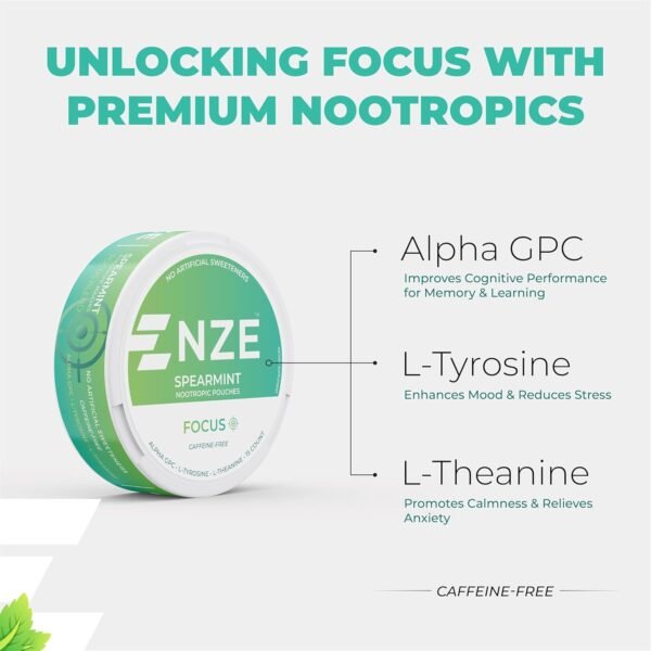 NZE Caffeine Free Nootropic Pouches (Spearmint) - Nootropic Pouches with Alpha GPC, L-Tyrosine & L-Theanine - No Sugar or Artificial Sweeteners - 15 Nicotine Free Pouches Per Can - 5 Pack - Image 3