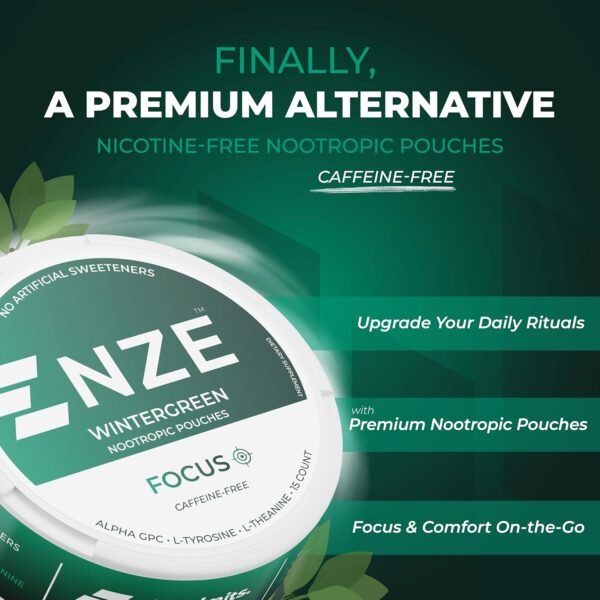 NZE Caffeine Free Nootropic Pouches (Wintergreen) - Nootropic Pouches with Alpha GPC, L-Tyrosine & L-Theanine - No Sugar or Artificial Sweeteners - 15 Nicotine Free Pouches Per Can - 5 Pack - Image 7